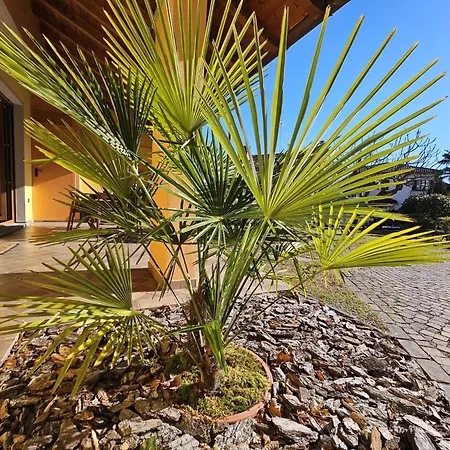 Residenza Redipuglia Free Private Parking And Air Conditioning アパート ヴェルバーニア